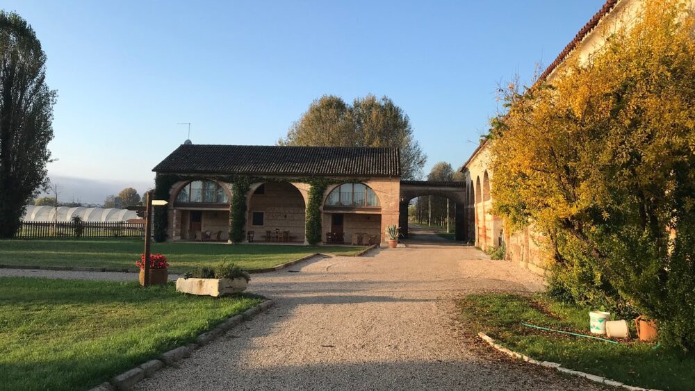 Yoga della risata a Borgo Feriani di Montegalda il 25 giugno