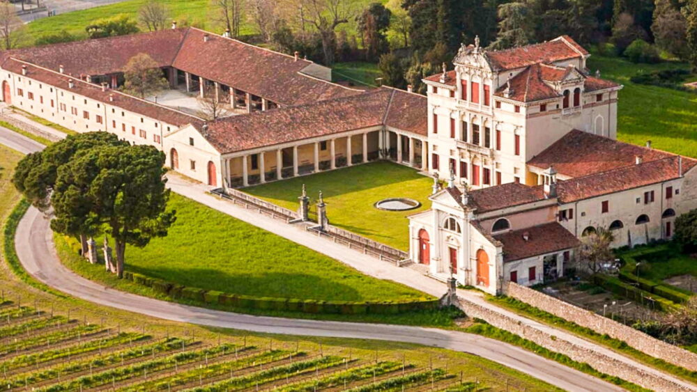 Camminata tra gli Olivi a Bassano del Grappa (Vicenza) con Villa Angarano Bianchi Michiel