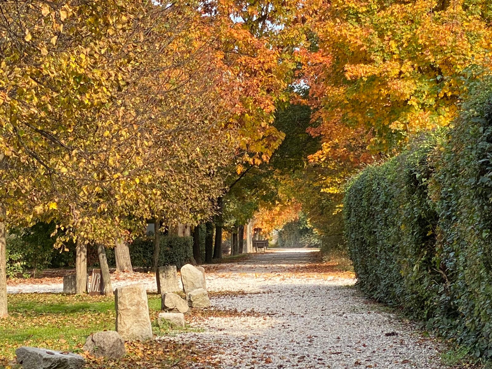 Parco Frassanelle