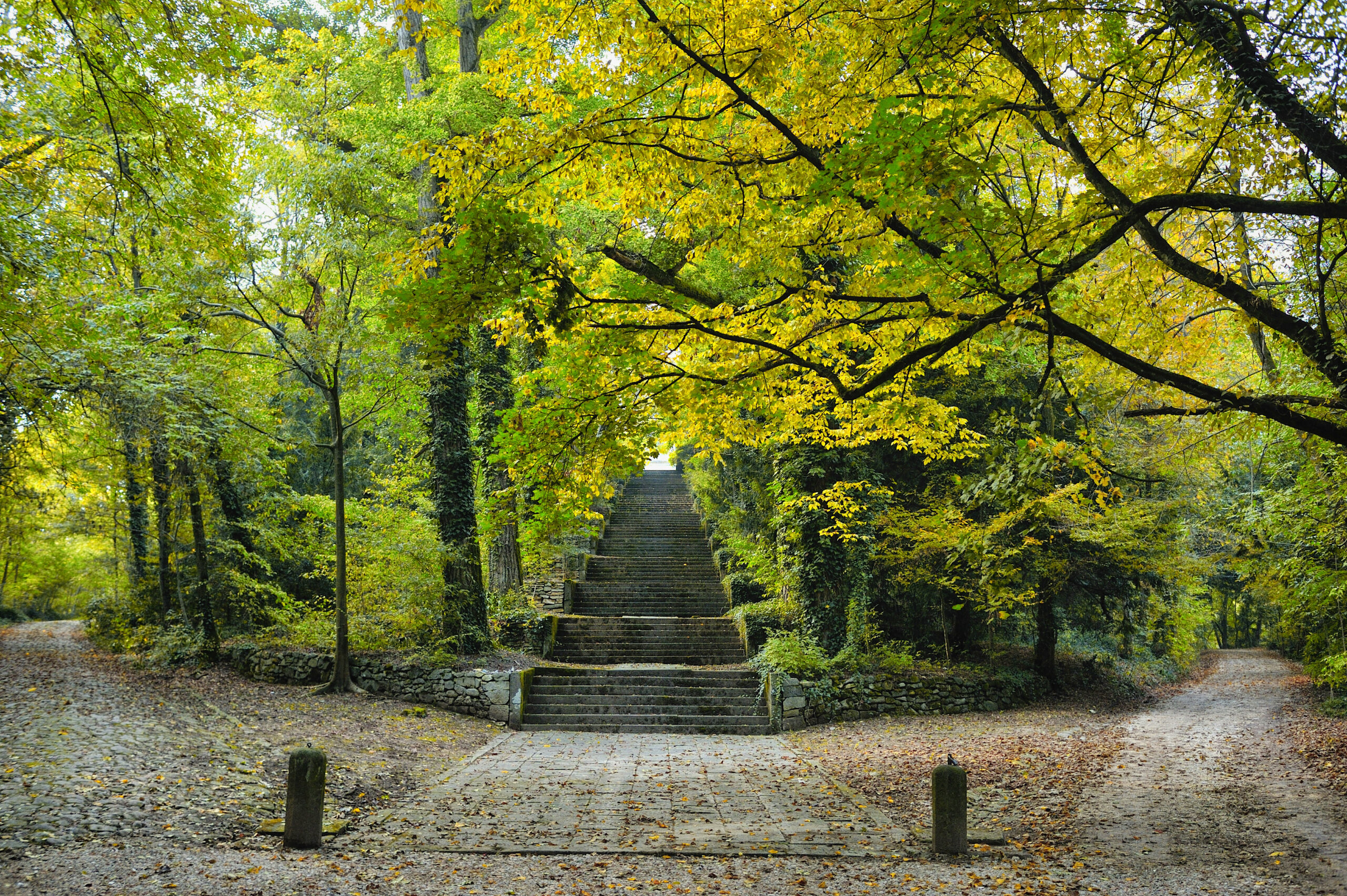 Scalinata Parco Frassanelle