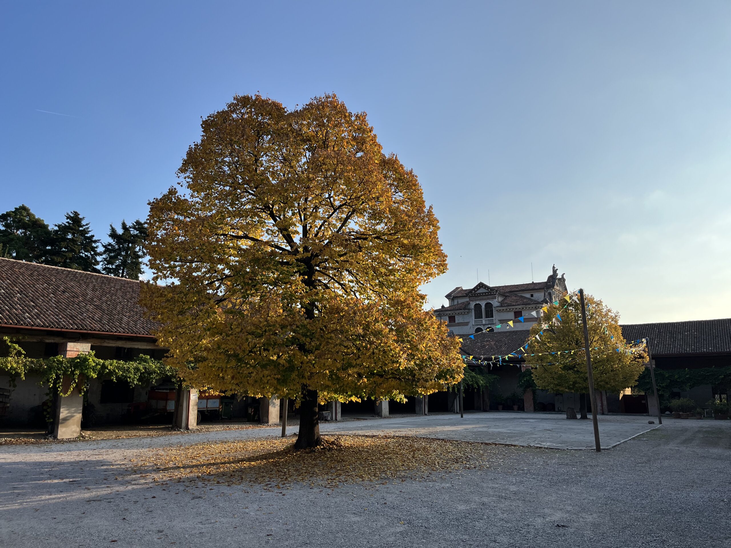 Villa Angarano